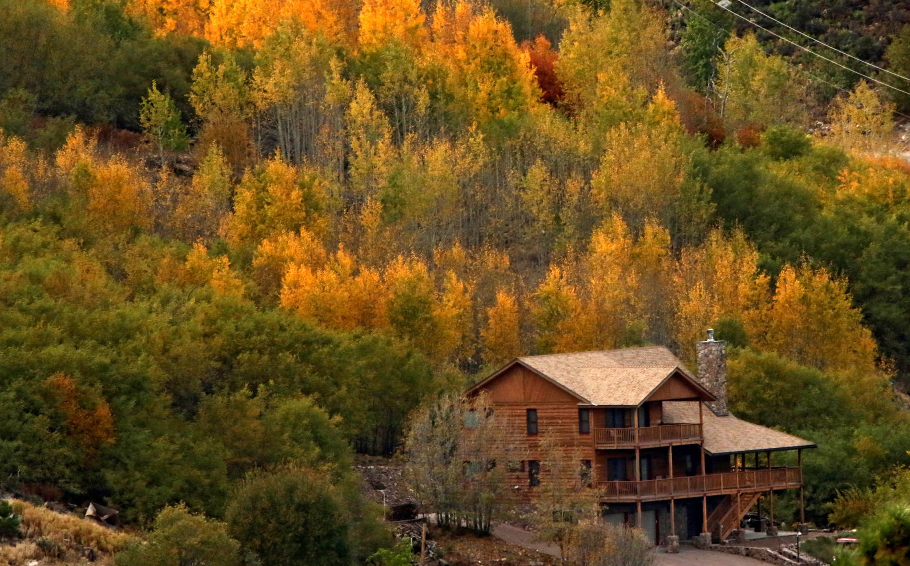 Fall colors